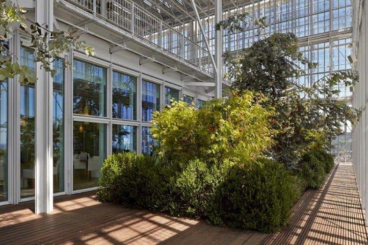 foto: Andrea Cappello